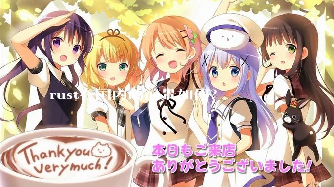 rust在国内的前景如何？