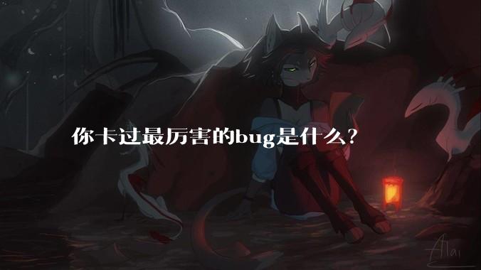 你卡过最厉害的bug是什么？