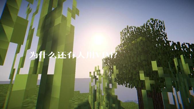 为什么还有人用VIM？