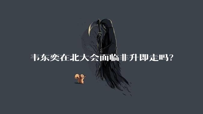 韦东奕在北大会面临非升即走吗？