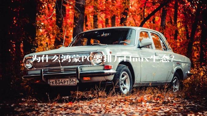 为什么鸿蒙PC要排斥Linux生态？