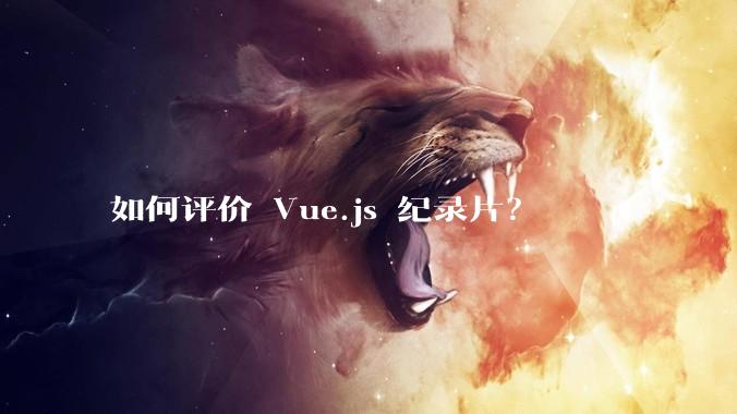 如何评价 Vue.js 纪录片？