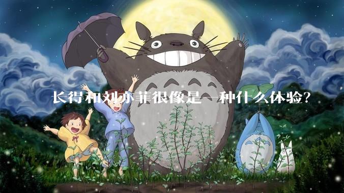 长得和刘亦菲很像是一种什么体验？