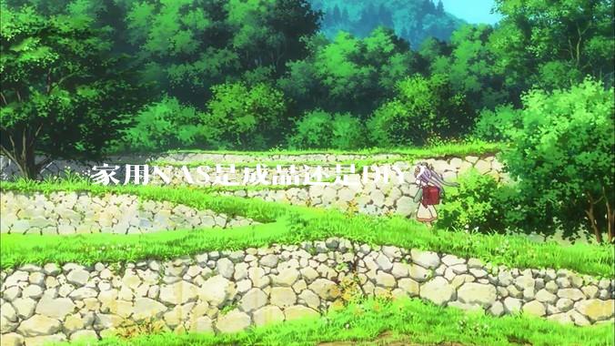 家用NAS是成品还是DIY？